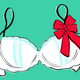 Image for article titled This Holiday Season, Donate Your Goddamn Bra